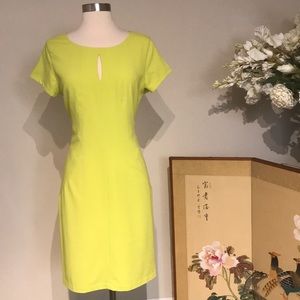 BCBG Lime Green Shift Dress Size M